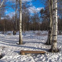 В Весеннем Парке :: юрий поляков