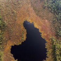 Осеннее озеро сверху :: David Nyman