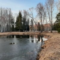 Павловский парк :: Наталья Герасимова