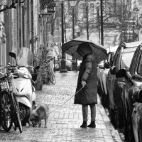 Дождь ,не дождь,а гулять надо... :: Elena Ророva