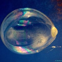 Ещё про пузырно-космические фантазии морозные..:-) :: Андрей Заломленков