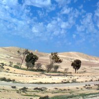 Пейзаж в пустыне :: Герович Лилия 