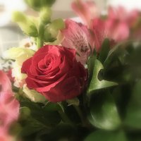 Розы - лучшие цветы, всех похвал достойны вы. :: Валентина Жукова