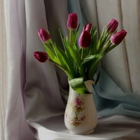 Робкие, несмелые февральские тюльпаны :: Надежд@ Шавенкова