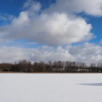 Ясным весенним днём (из поездок по области). :: Милешкин Владимир Алексеевич 