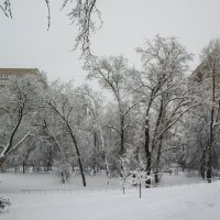 Зима в городе :: Анатолий Цыганок