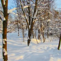 Зимой в лесу :: Валюша Черкасова