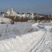 прогуляться по зиме пешком..... :: Andrey Bragin 