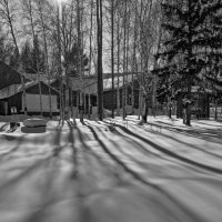 Танцы теней на снегу :: Сергей Шаврин