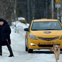 - Разъездились тут - :: Татьяна Помогалова