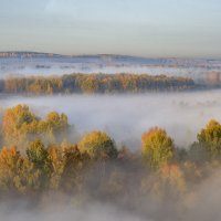 Туманная пелена золотой осенью.. :: Алексей Сметкин