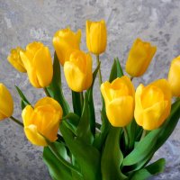 Пусть цветы будут не только 8 марта! :: Надежда 