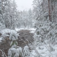 Весенний снегопад :: Vladimbormotov 