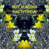 Вот и весна наступила! :: Дмитрий Никитин