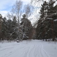 Зимний путь,через сказочный лес... :: Андрей Хлопонин