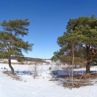 В ясный день :: Денис Бочкарёв