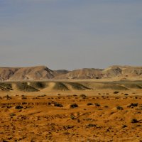 Далёкий и близкий Южный Египет... :: Sergey Gordoff