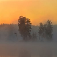 В тумане утреннем..... :: Юрий Цыплятников