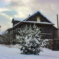 Зимним улицы :: Сергей Кочнев