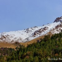 Аксаут :: Александр Богатырёв