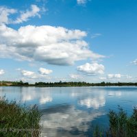 Озеро летом в Шумилино :: Анатолий Клепешнёв