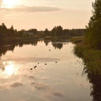 закат на реке Коваш :: Елена Богданова