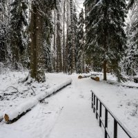 Снежным днем :: Константин Шабалин