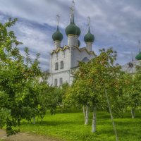 Урожай яблок :: Сергей Цветков
