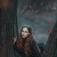 В тёмном лесу :: Валерия Линц