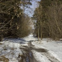 Жаркий мартовский день :: оксана 