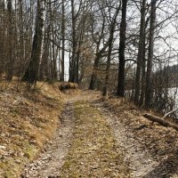 Начало апреля на Смоленщине (из поездок по области). :: Милешкин Владимир Алексеевич 