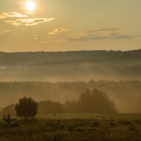 рассвет :: ирина лузгина 