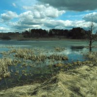 Озеро в апреле :: Евгений 