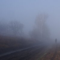 Про туман весенний... :: Александр Резуненко