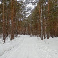 Начало апреля . :: Мила Бовкун