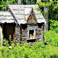 В сказочном лесу :: Василий 