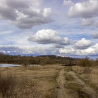 Берег реки :: оксана 