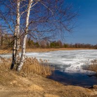 Зима VS Весна :: Андрей Дворников