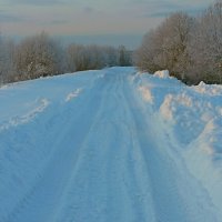 ДОРОГА, УХОДЯЩАЯ В БЕСКРАЙНИЙ ЛЕС. :: Виктор Осипчук