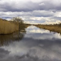 Канал на болотах :: оксана 