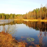 Весенним утром на пруду :: Андрей Снегерёв