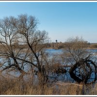 Разлив на реке Нерль :: Игорь Волков