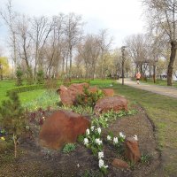 В весеннем парке... :: Тамара Бедай 