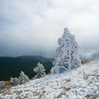 Осень на плато Ай-Петри :: Сергей Титов