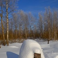 МОЯ ДЕРЕВНЯ. :: Виктор Осипчук