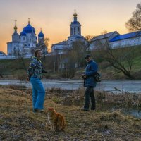 Кот,обожающий фотографов :: Сергей Цветков