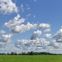 Панорама небо в кучевых облаках :: Анатолий Клепешнёв