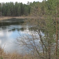 Небольшое озеро  на месте бывшего карьера :: tamara kremleva