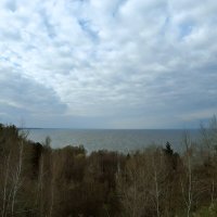 Весна у берегов Киевского моря :: Тамара Бедай 