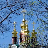 Настоящий Первомай - золотые купола :: Александр Чеботарь